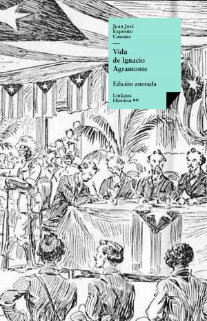 Cover of the book Vida de Ignacio Agramonte by Ernst Wichert