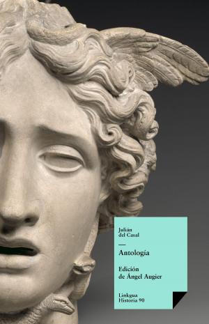 Cover of the book Antología by Michael Abraham