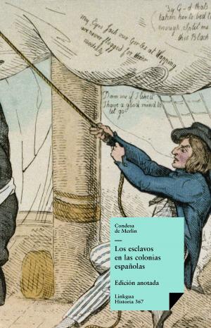 Cover of Los esclavos en las colonias españolas