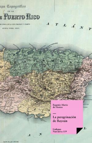Cover of the book La peregrinación de Bayoán by Benito Juárez