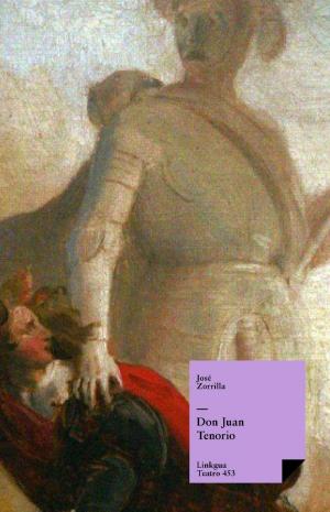 Cover of the book Don Juan Tenorio by Luis Orrego Luco