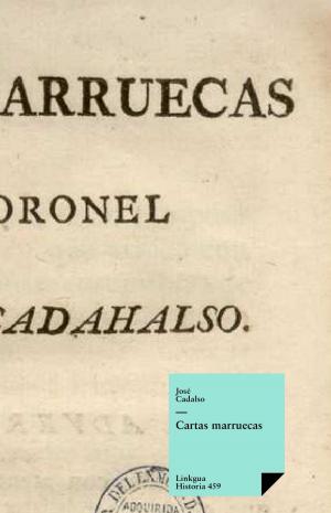 Cover of the book Cartas marruecas by José Rizal y Alonso