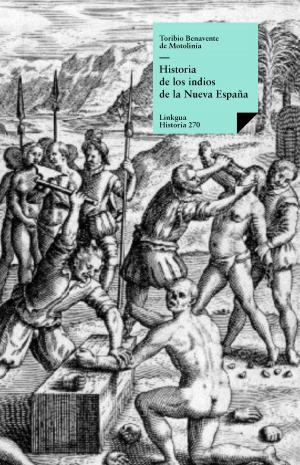 Cover of the book Historia de los indios de la Nueva España by José Zorrilla