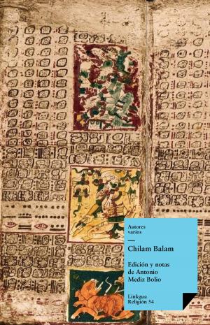 bigCover of the book Chilam Balam by 