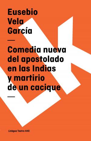 Cover of the book Comedia nueva del apostolado en las Indias y martirio de un cacique by Gertrudis Gómez de Avellaneda