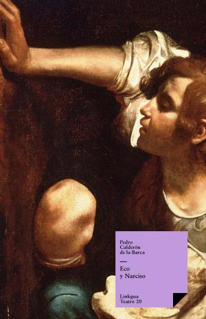Cover of the book Eco y Narciso by Rosalía de Castro