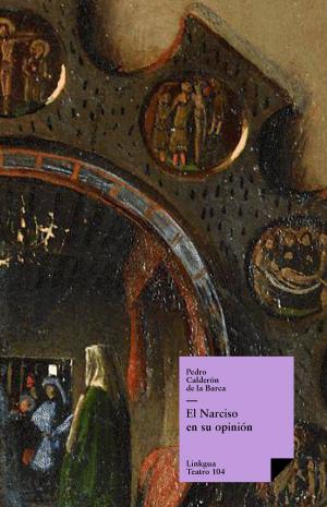 Cover of the book El Narciso en su opinión by Annemarie Schmidt-Koppenhagen
