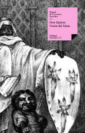 Cover of the book Don Quijote. Visión del Islam by Alonso de Ercilla y Zúñiga