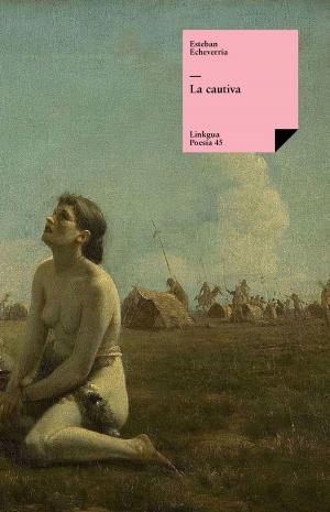 Cover of the book La cautiva by Gertrudis Gómez de Avellaneda
