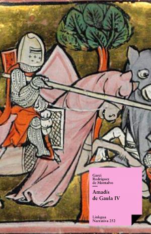 Cover of the book Amadís de Gaula IV by Luis Carrillo y Sotomayor