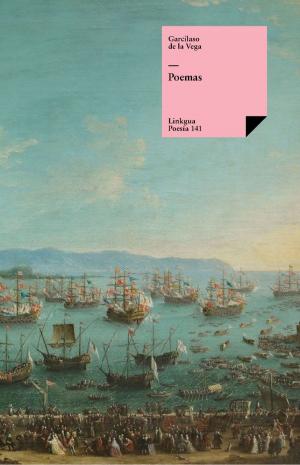 Cover of the book Poemas by Diego de Landa