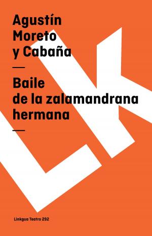 Cover of the book Baile de la zalamandrana hermana by Marco Nasta