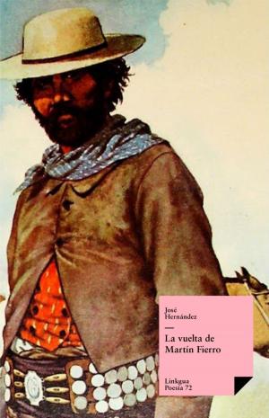 Cover of the book La vuelta de Martín Fierro by Eduardo Leandro Campa