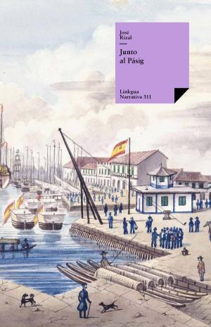 Cover of the book Junto al Pásig by Luis Orrego Luco