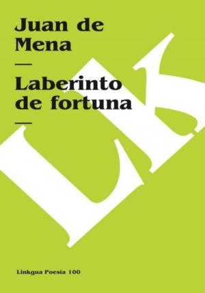 Cover of the book Laberinto de fortuna by Antonio Mira de Amescua