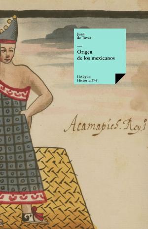 Cover of the book Origen de los mexicanos by Benito Pérez Galdós