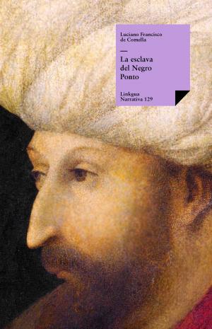 Cover of the book La esclava del negro Ponto by Angel Saavedra. Duque de Rivas