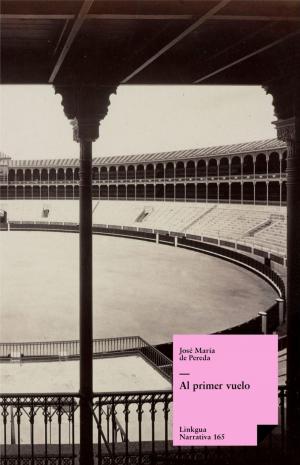 Cover of the book Al primer vuelo by Benito Pérez Galdós