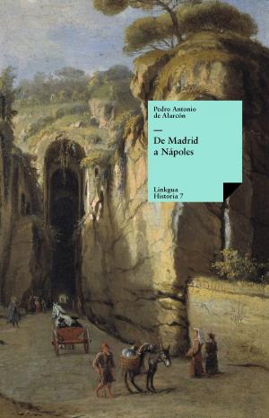 Cover of the book De Madrid a Nápoles by Pedro Calderón de la Barca