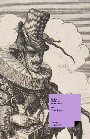 Cover of the book Don Pegote by José Manuel Valdez y Palacios