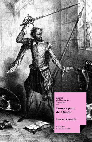 Book cover of Don Quijote de la Mancha. Primera parte