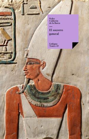 Cover of the book El socorro general by Autores varios