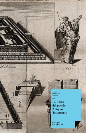 Book cover of La Biblia. Antiguo testamento