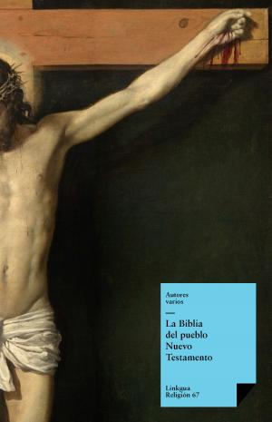 Cover of the book La Biblia. Nuevo testamento by Bernardino de Sahagún