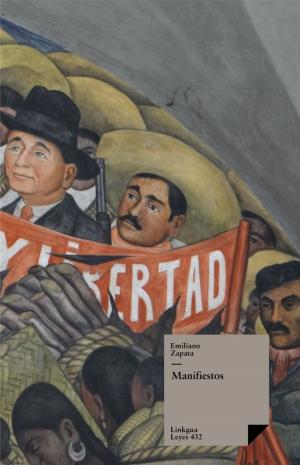 Cover of the book Manifiestos by Gonzalo Fernández de Oviedo