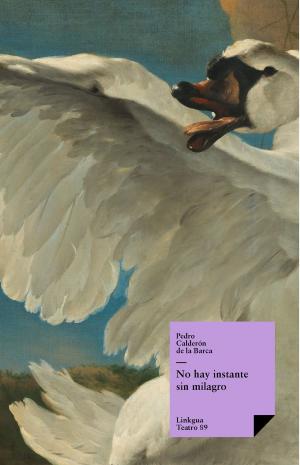 Cover of the book No hay instante sin milagro by Vicente Espinel
