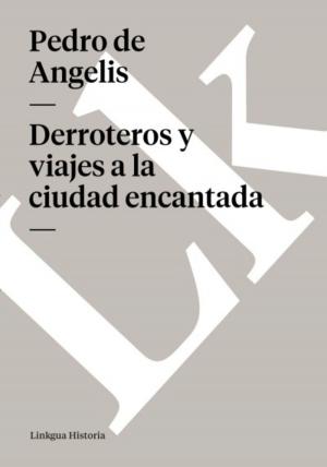 Cover of the book Derroteros y viajes a la ciudad encantada by Francisco Delicado