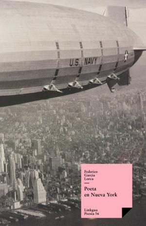Cover of the book Poeta en Nueva York by José Zorrilla