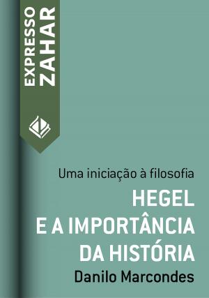 Cover of the book Hegel e a importância da história by Danilo Marcondes