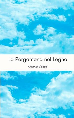 Cover of the book La pergamena nel legno by Antonio Pilo García