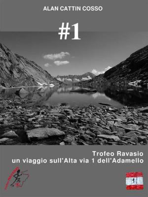 bigCover of the book #1 - Trofeo Ravasio, un viaggio sull'Alta via 1 dell'Adamello by 