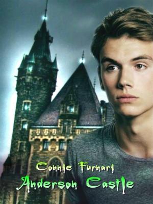 Cover of the book Anderson Castle by Connie Furnari