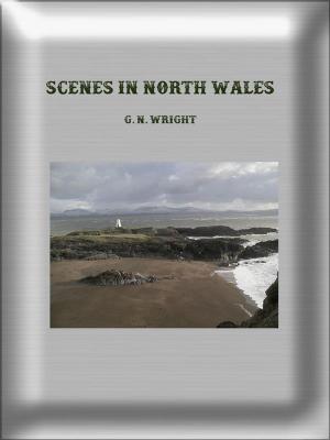 Cover of Scenes in North Wales