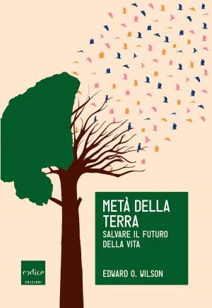 Book cover of Metà della Terra
