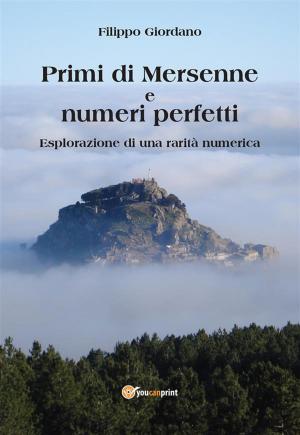 Cover of the book Primi di Mersenne e numeri perfetti by Nino Lacagnina