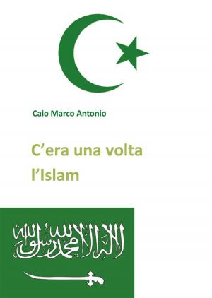 Cover of the book C'era una volta l'Islam by Maria Sticco