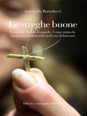 Cover of the book Le streghe buone by Shaun Fawcett