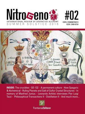 Cover of the book Nitrogeno 02 by Zen Master Engaku Taino, Zen Master Reiyo Ekai