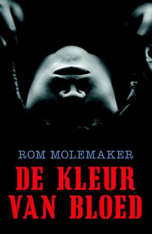 Cover of the book De kleur van bloed by Gonneke Huizing