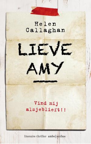 Cover of the book Lieve Amy by Meghan O'Flynn
