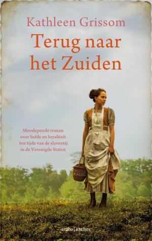Cover of the book Terug naar het Zuiden by C.J. Miller