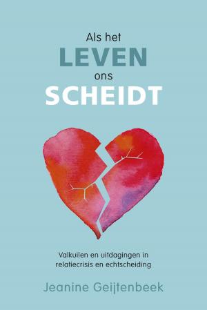 Cover of the book Als het leven ons scheidt by Pascale Bruinen