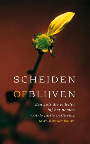 Cover of the book Scheiden of blijven by Farida Walele