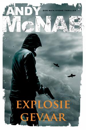 Cover of the book Explosiegevaar by Deon Meyer