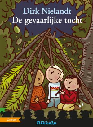 Cover of the book De gevaarlijke tocht by Anke Kranendonk