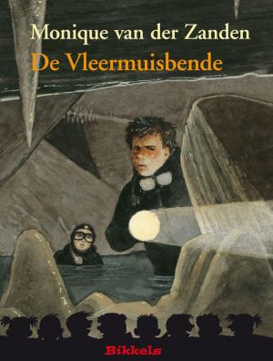 Cover of the book De Vleermuisbende by Martine Letterie